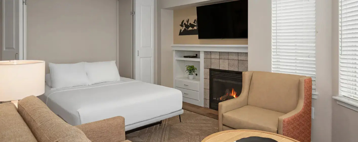 1 Bedroom Suite