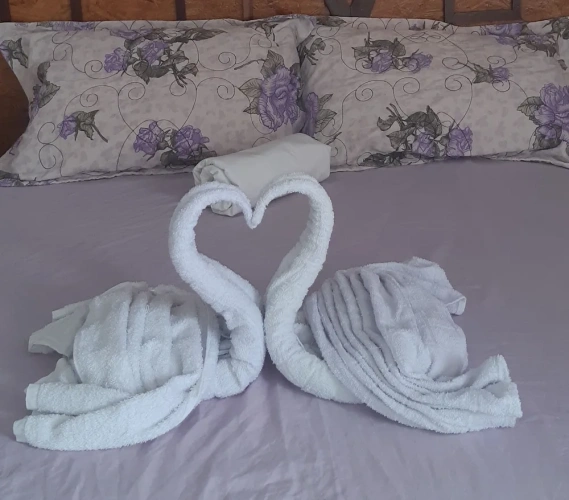 Premium Quadruple room