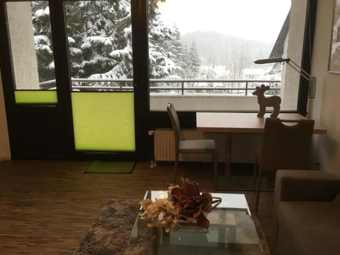 Double Apartment with balcony