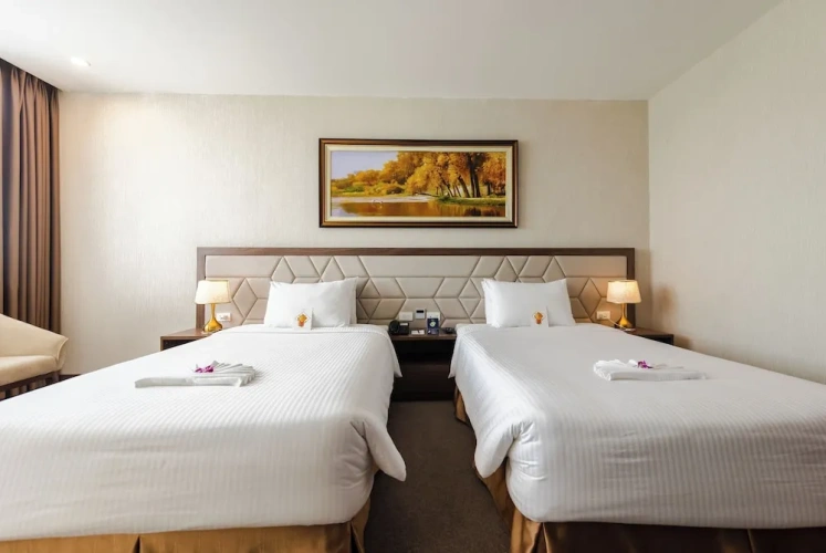 Deluxe Twin room with city view