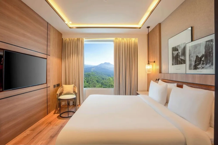 Premium Suite
