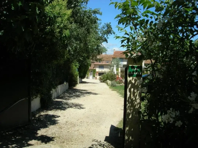 Standard Double room with garden view