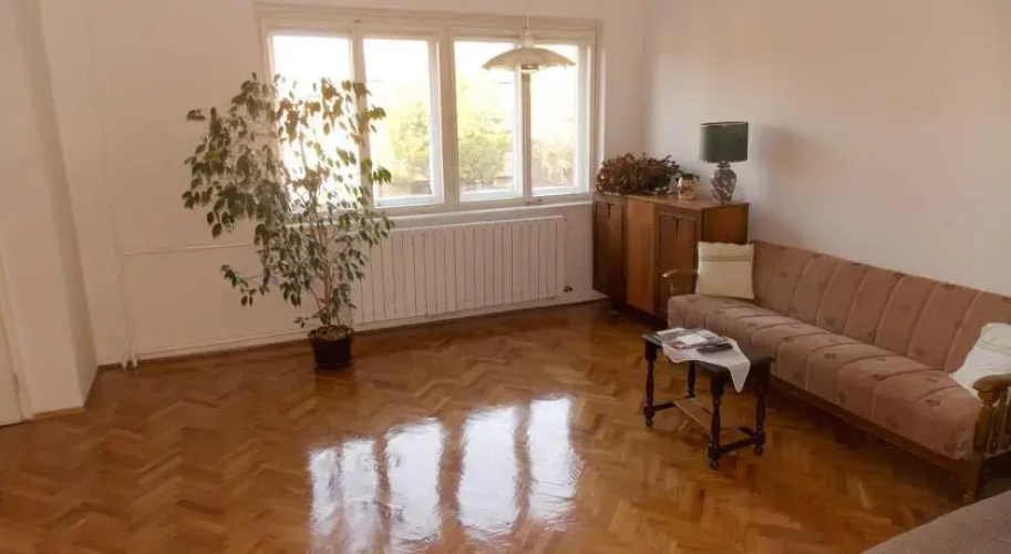 Apartment Radivoja Rakonjca 8