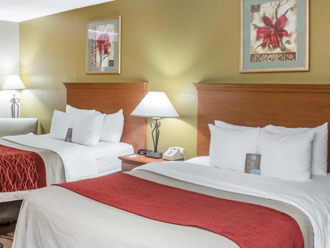 Standard Double room