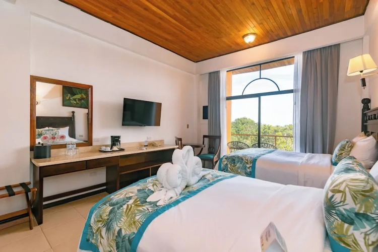 Superior Twin room with balcony and with view