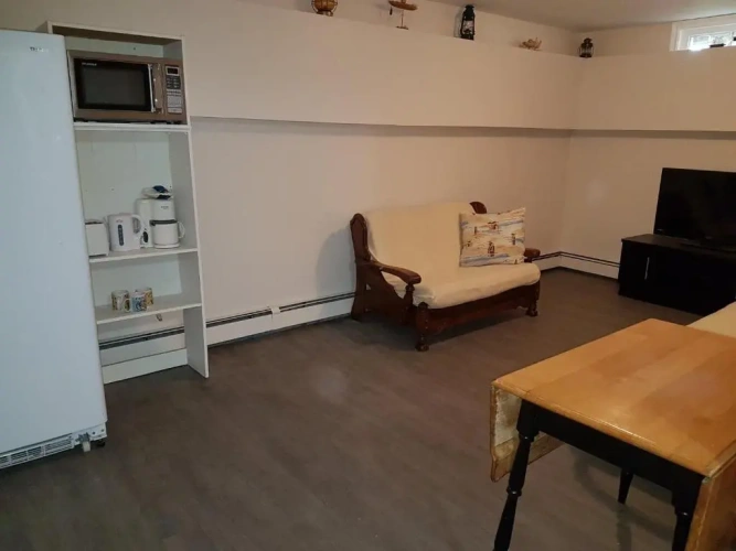 Family Basement Suite
