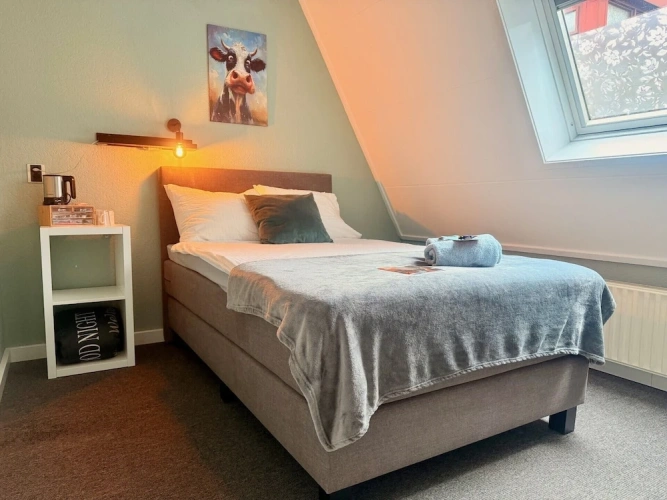Comfort Single room with city view