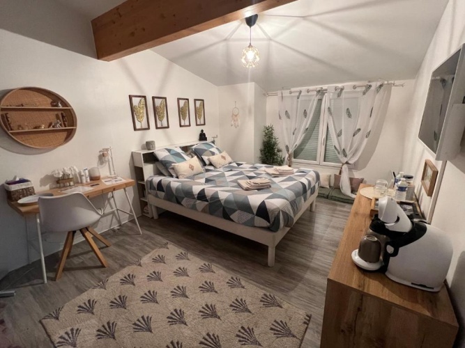 Standard Double room with garden view