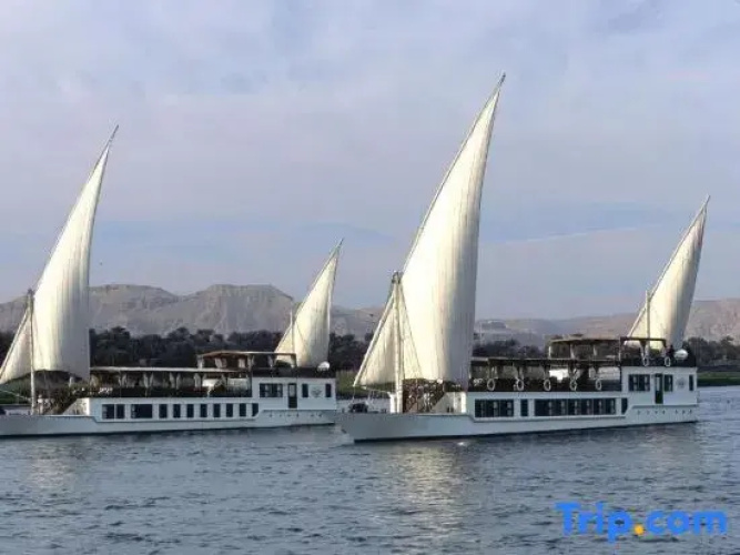 Farouz El Nil 1