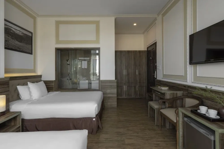 Deluxe Twin room with city view