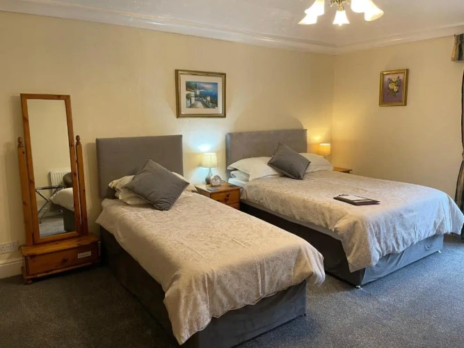 Standard Double room with garden view