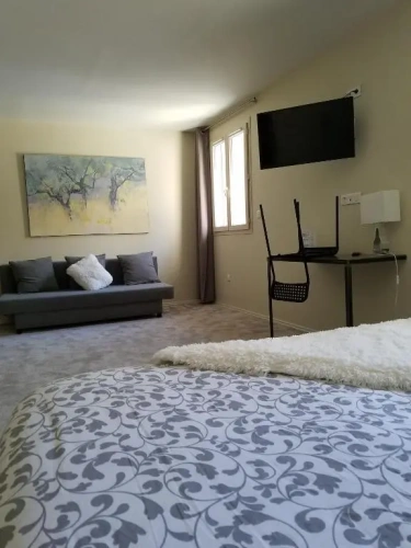 Standard Double Family room