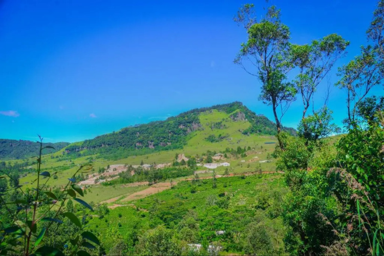 Lak Sewana Home Stay