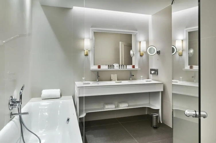 Deluxe Suite with park view