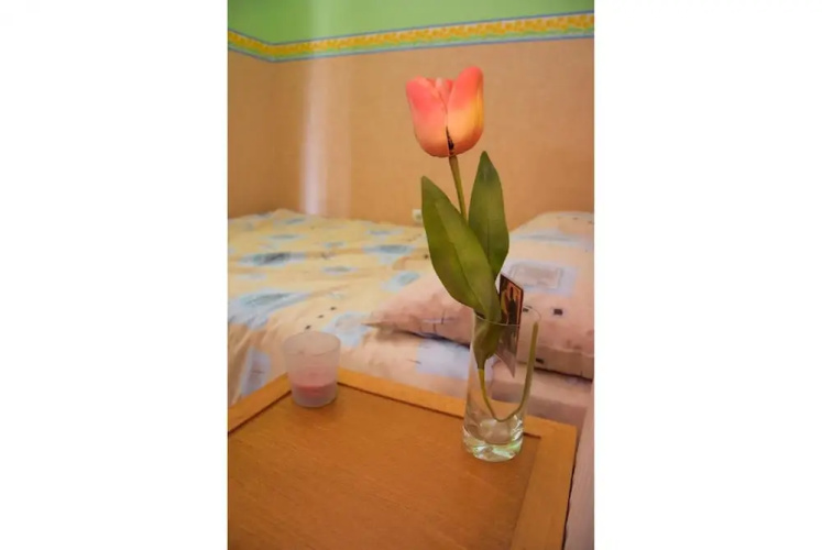 Apartment Daroteka