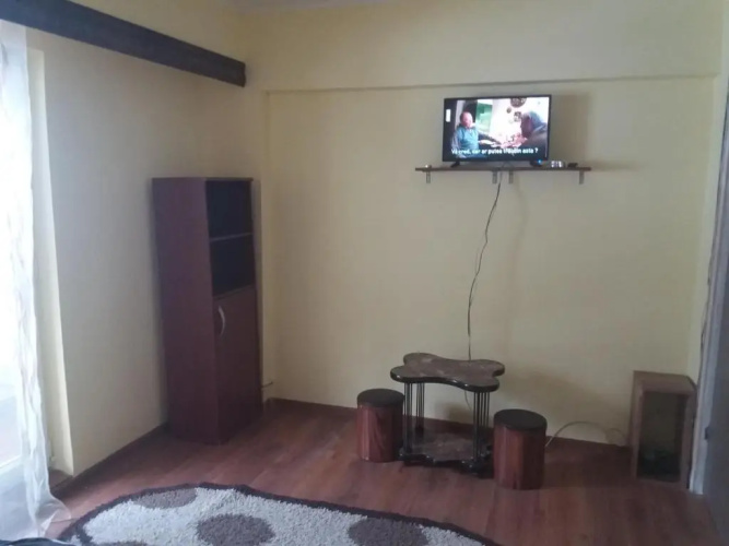 Apartament Viorea