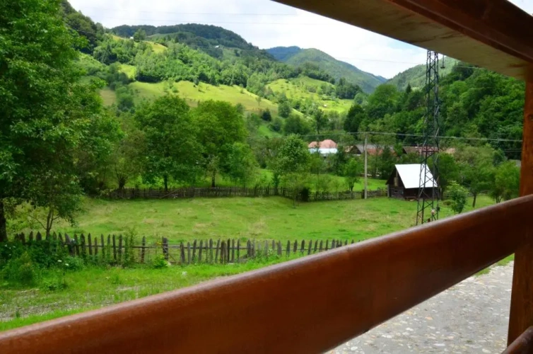 Family Studio with view