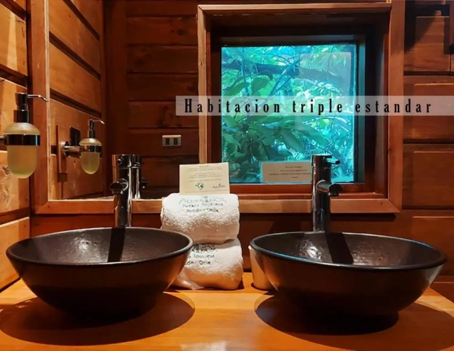 Standard Double room with view