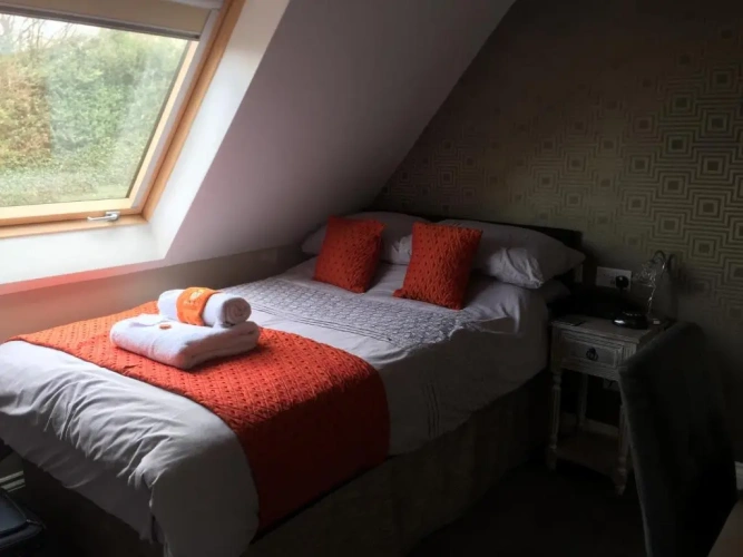 Business Single room with view