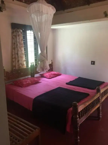 Mickey Homestay