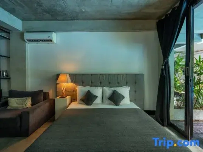1 Bedroom Suite