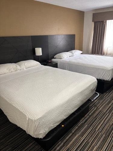 Quadruple Suite
