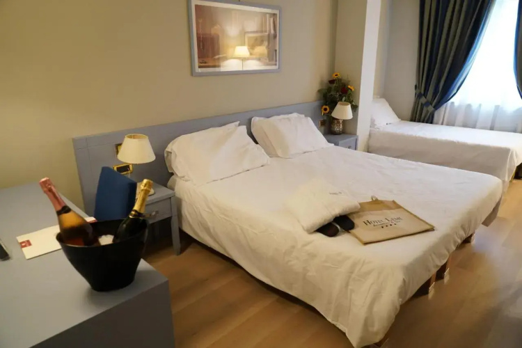 Hotel Lemi