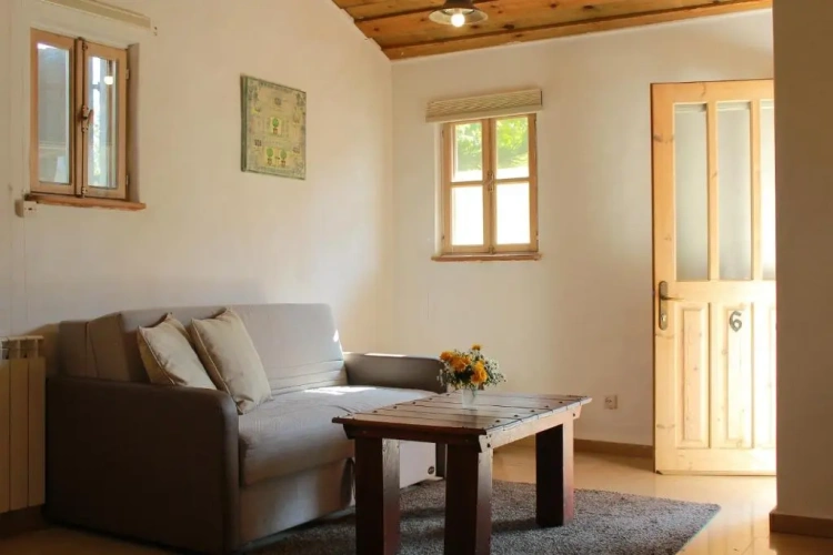 Deluxe Suite with balcony and with view
