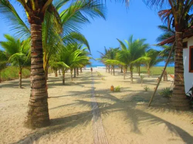 Coconut Hotel and Surf Hostel