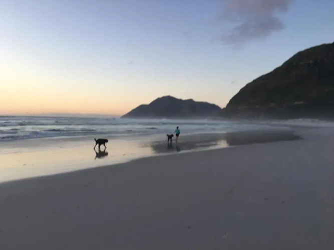 Restful Studio Loft Noordhoek Beach