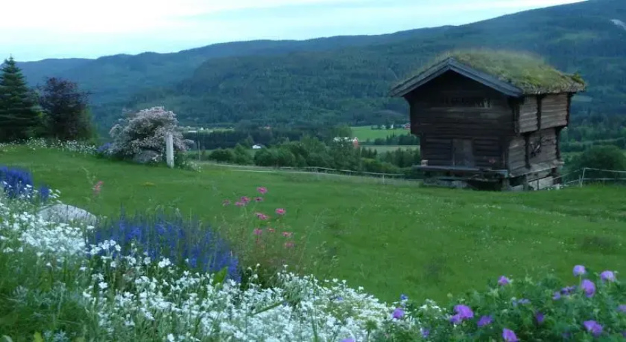 Stabbursnatt Nordli