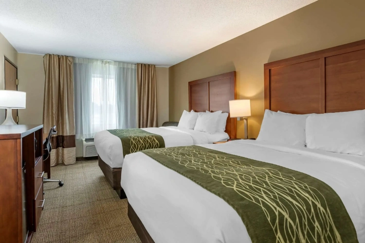 Standard Quadruple room