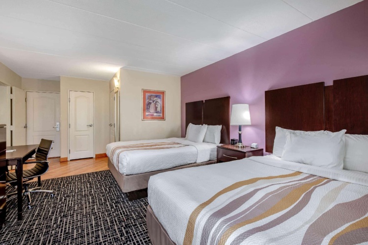 1 Bedroom Quadruple Suite