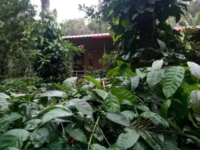 StaySimple Spicefarm