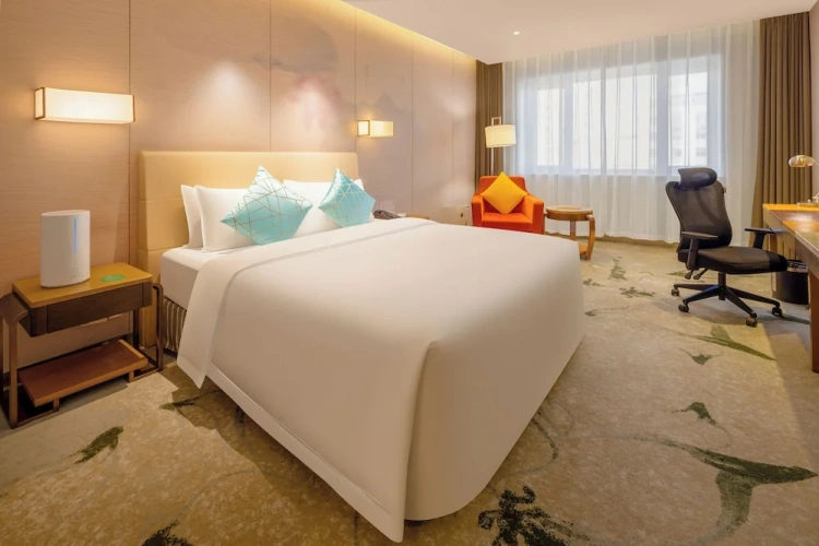 Executive room with city view