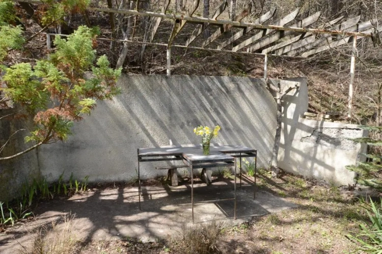 Standard Triple room with mountain view