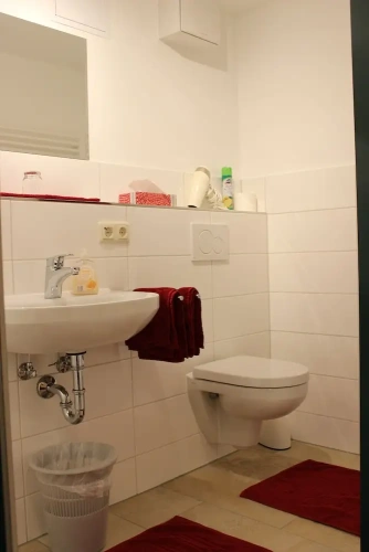 Classic Single room with mountain view