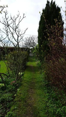 The Furze Bush Inn