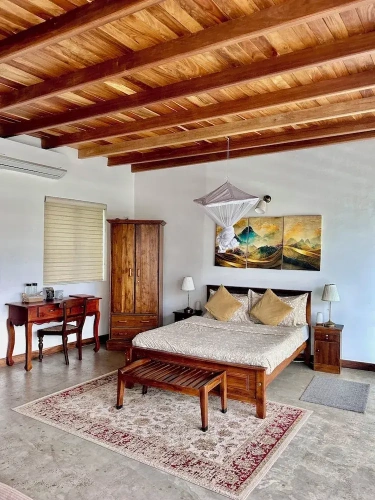 Luxury Apartment