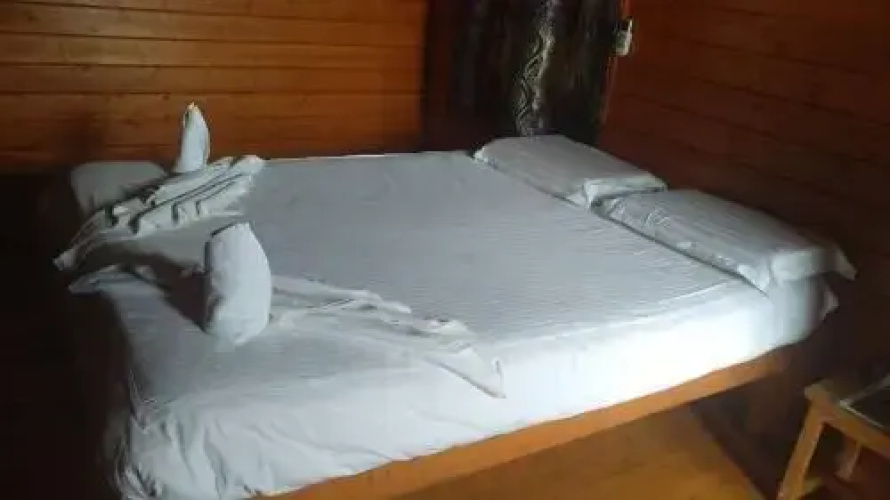 Leo wodden Resort