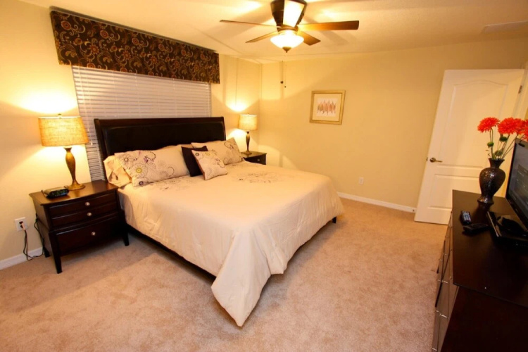 8888 Paradise Palms