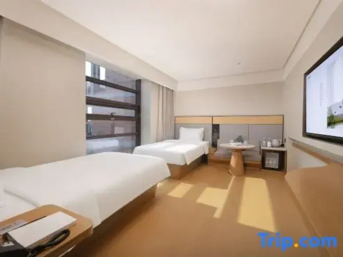 Standard Twin room with view