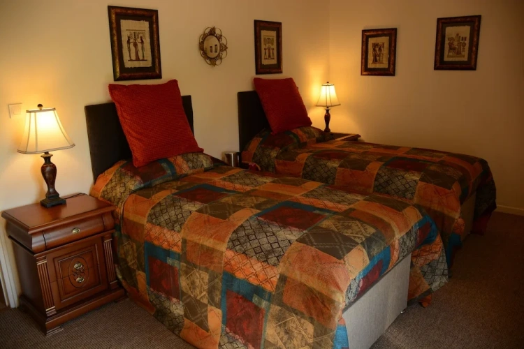 Deluxe Twin room with garden view