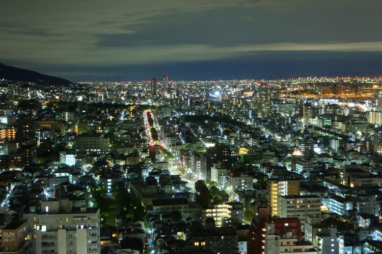 ANA Crowne Plaza Kobe photo 32
