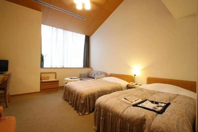 Standard Twin room with mountain view