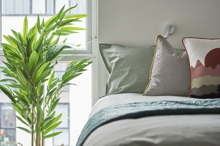 Standard Single room with city view