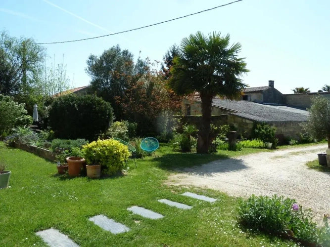 Standard Double room with garden view