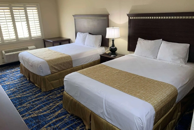 Quadruple Suite