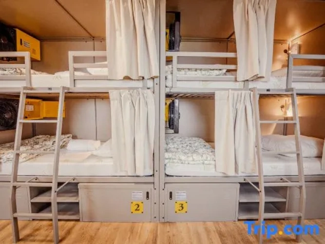 Bed in Dorm