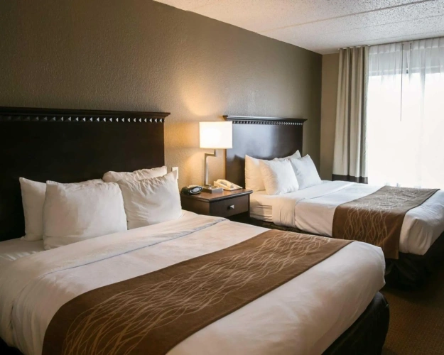 Quadruple Suite